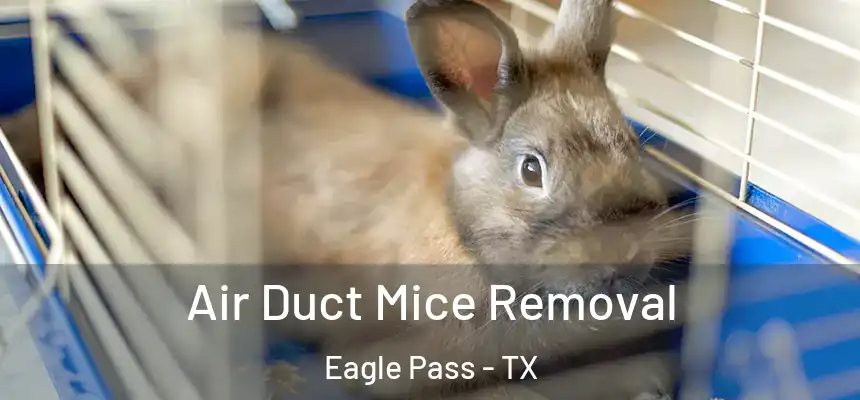  Air Duct Mice Removal Eagle Pass - TX