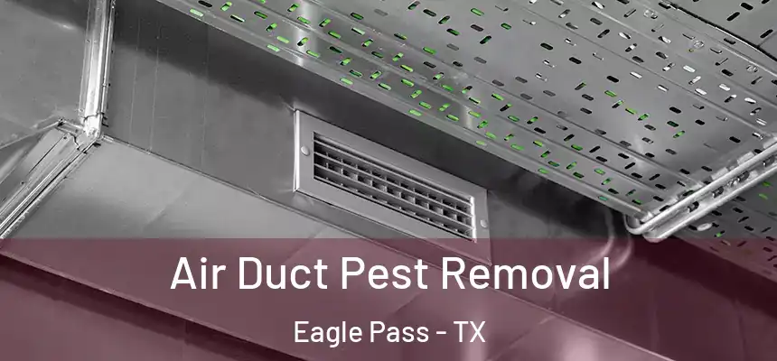 Air Duct Pest Removal Eagle Pass - TX