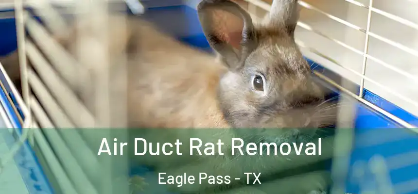 Air Duct Rat Removal Eagle Pass - TX