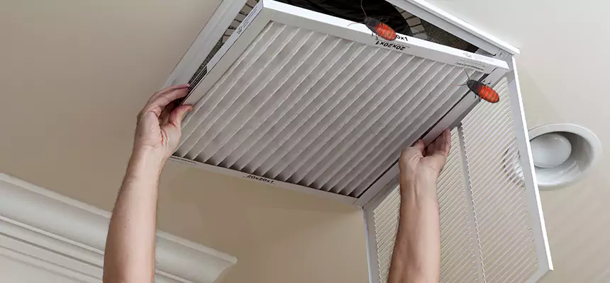 Preventive Cockroach-Proofing for Ducts in Eagle Pass
