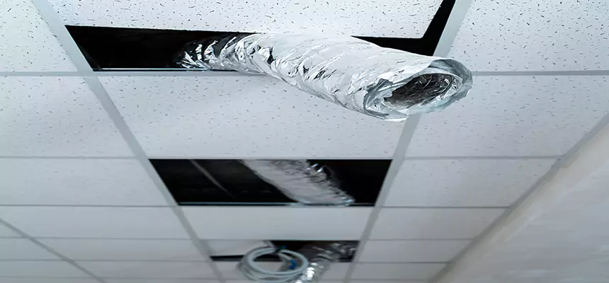 Affordable HVAC Sanitizing After Pest Removal in Eagle Pass