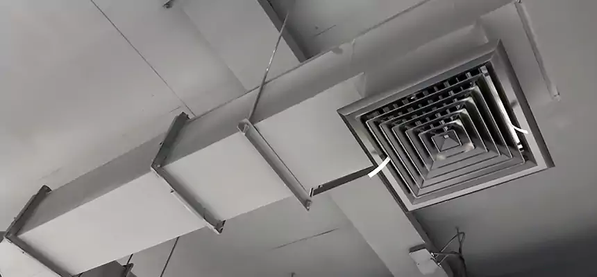 Our Rodent Droppings In Vents Services in Eagle Pass, TX