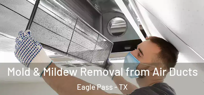 Mold & Mildew Removal from Air Ducts Eagle Pass - TX