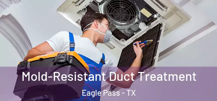  Mold-Resistant Duct Treatment Eagle Pass - TX