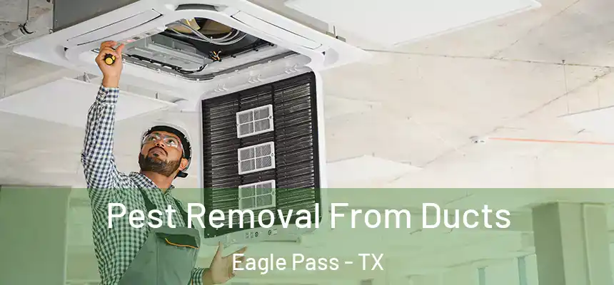 Pest Removal From Ducts Eagle Pass - TX