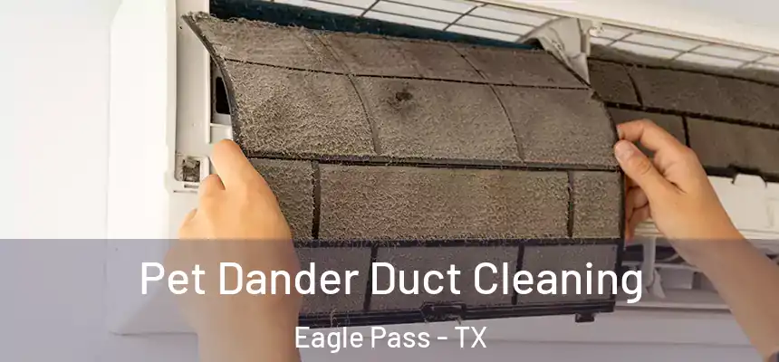 Pet Dander Duct Cleaning Eagle Pass - TX