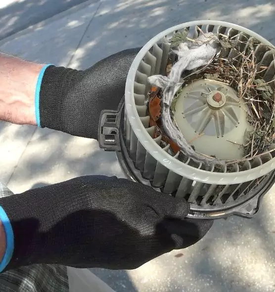 About Air Duct Mice Removal in Eagle Pass, TX