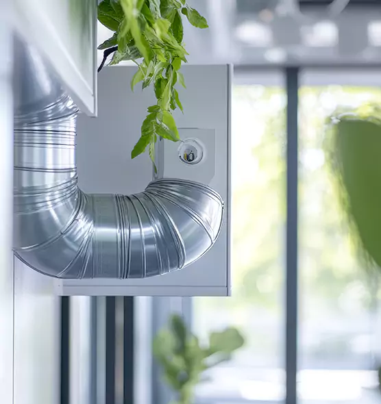 Professional Eco-Safe Dryer Vent Cleaning in Eagle Pass, TX