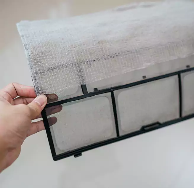 Why Homeowners & Businesses Trust Us in Eagle Pass, TX?