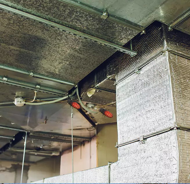 Why Homeowners & Businesses Trust Us Eagle Pass, TX?