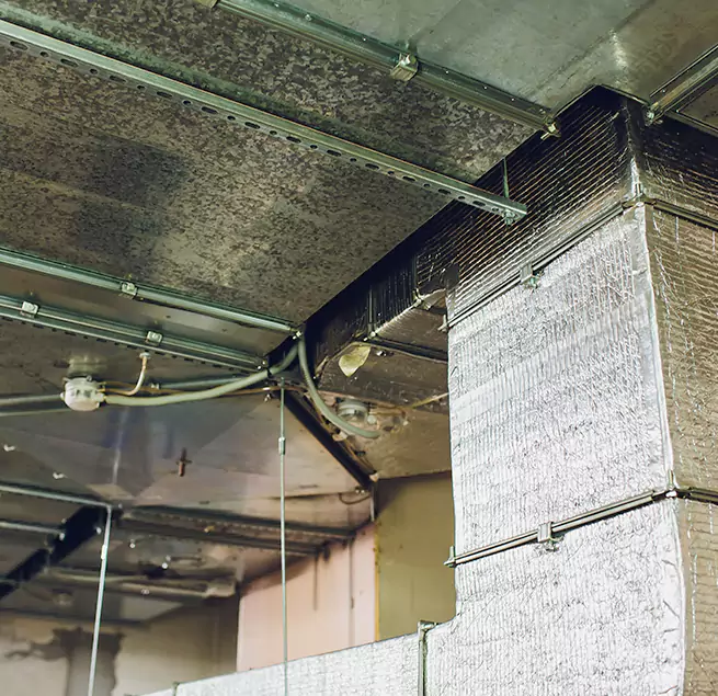 Why Homeowners & Businesses Trust Us in Eagle Pass, TX?